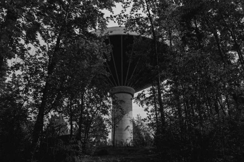 a very tall tower surrounded by lots of trees