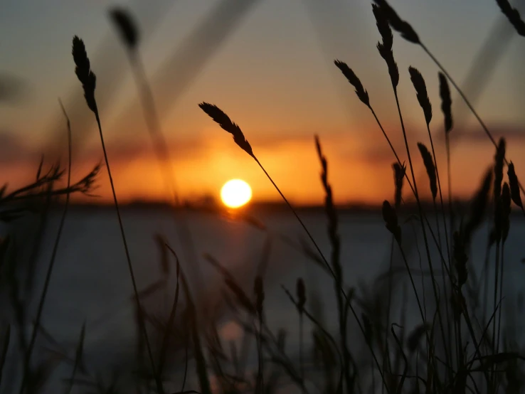 sun set in the distance as it reflects on water