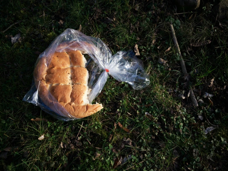 a bun wrapped in plastic and sitting on grass
