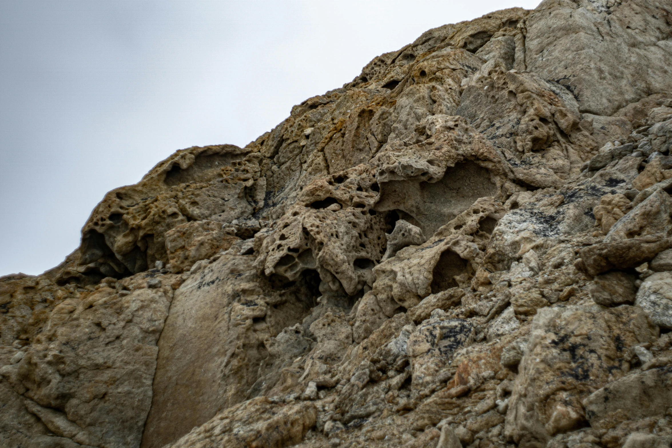 a very pretty bird sitting on top of some rocks