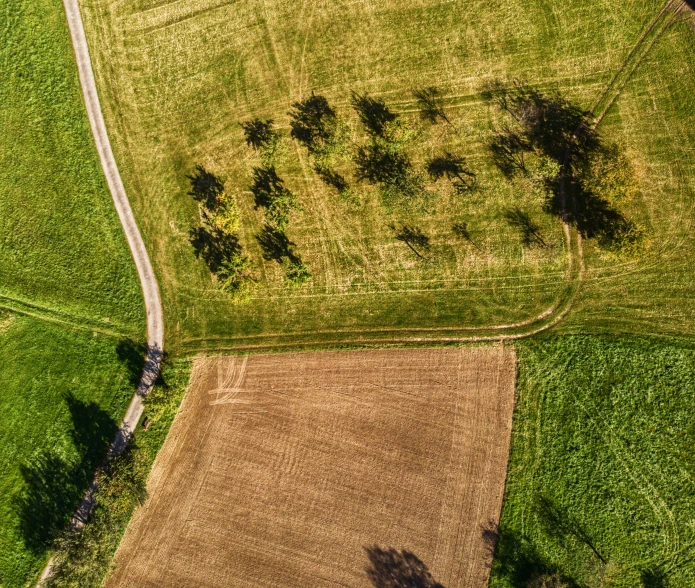aerial view of two farm fields and shadows on the grass