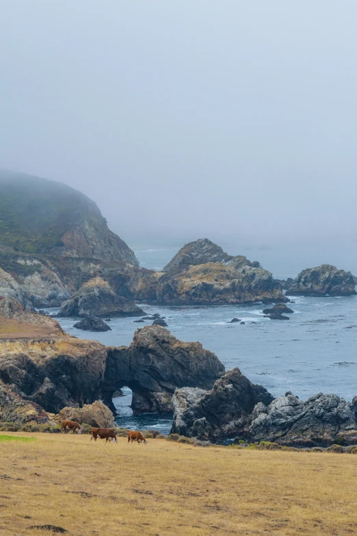 a field with rocks that are by the water