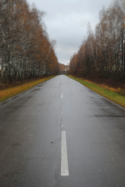 an empty road in the middle of the woods on a overcast day