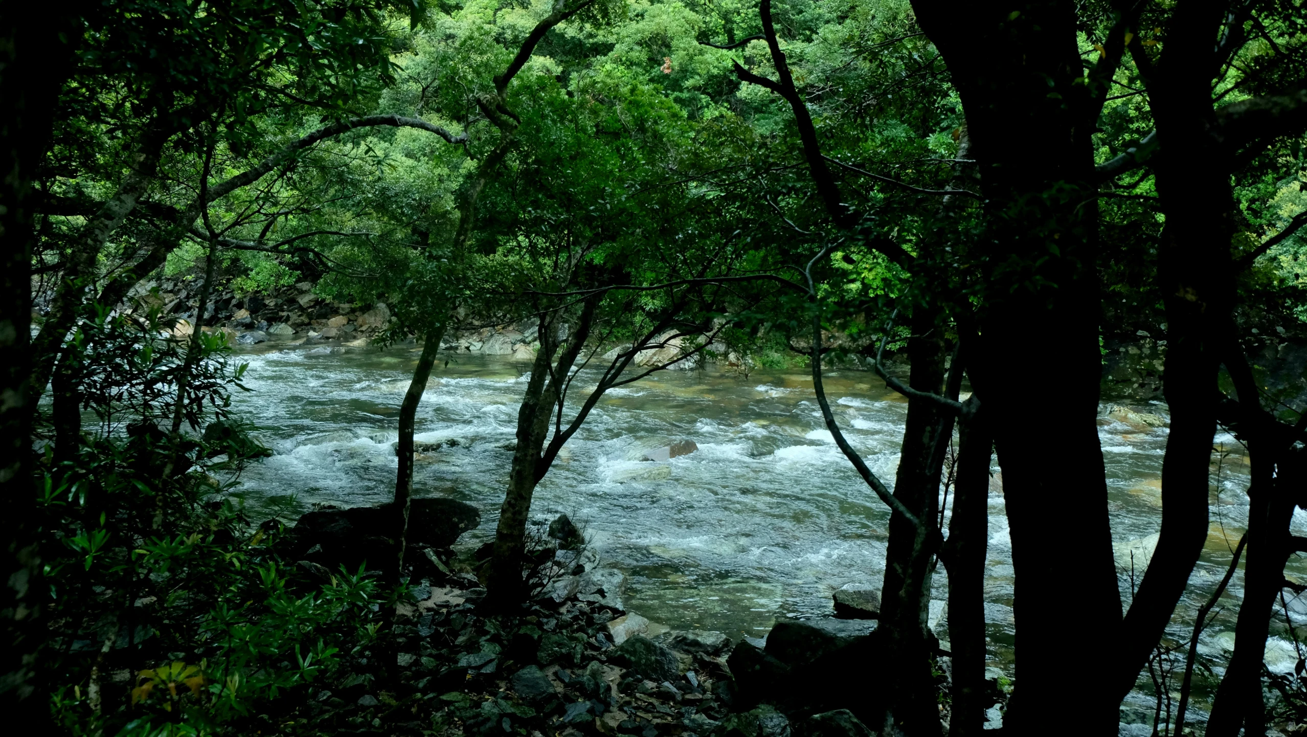 a river is seen through some trees and rocks