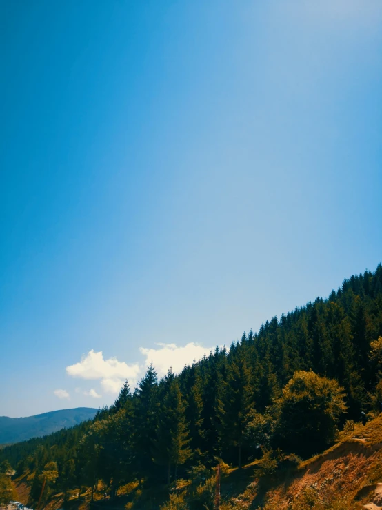 view of green forested mountain slope with car passing by