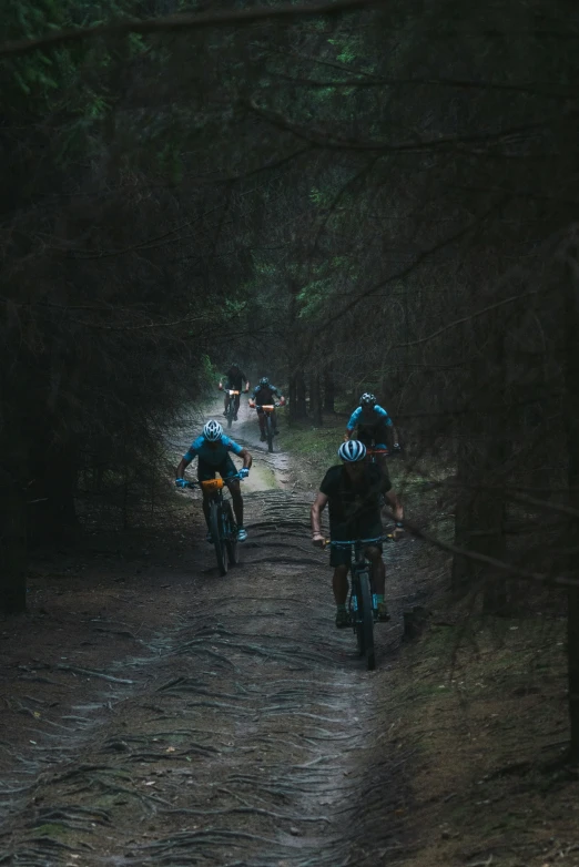 two motorcycle riders on muddy road in dark woods