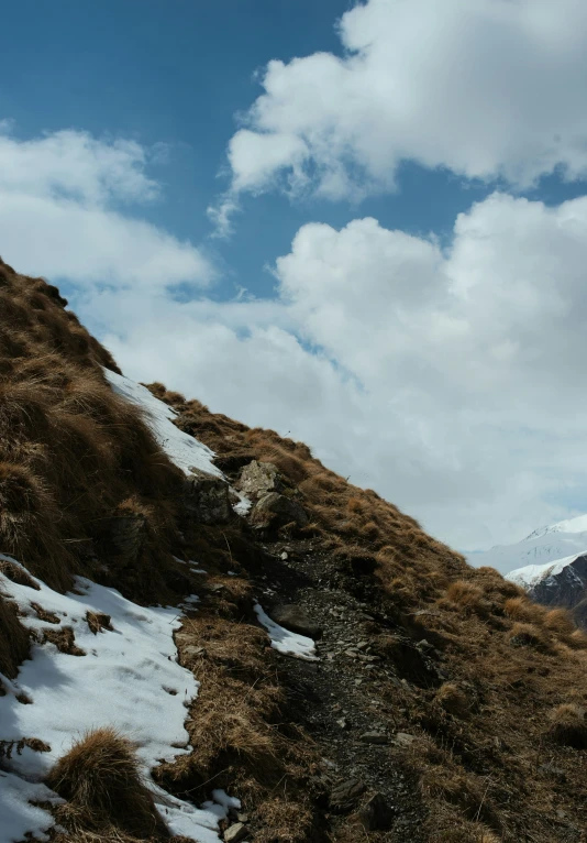 a small cow is standing at the bottom of a hill