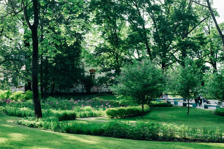 a green grassy area in the middle of a park with benches, and trees