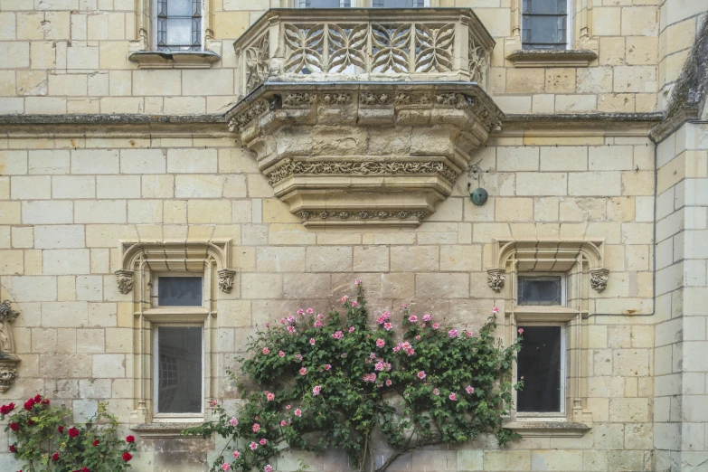 a building with flowers and bushes on the outside