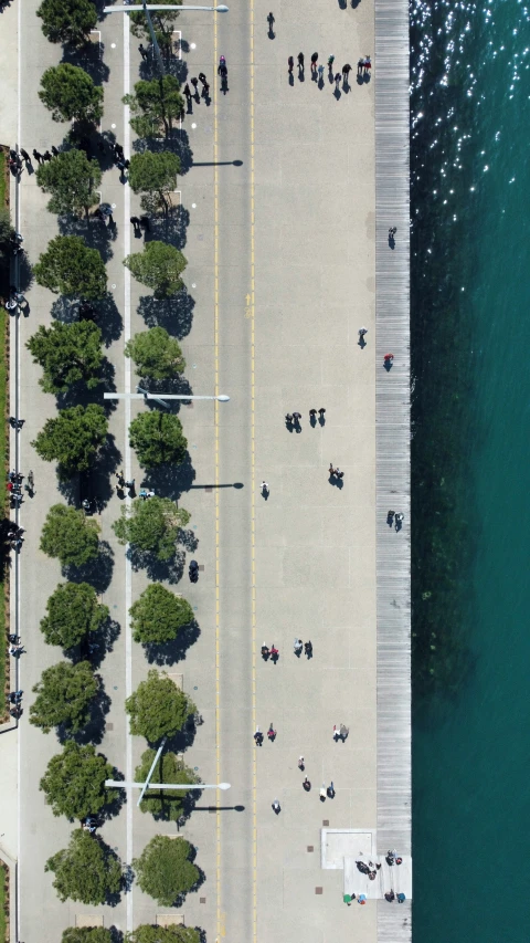 a street and water by a road with trees growing in it