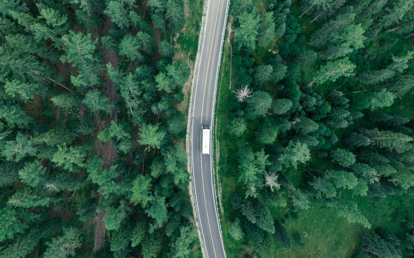 an aerial view of a road through the trees