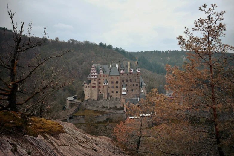 an old castle on a mountain in a wooded area