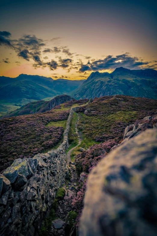 a path going down the mountain side by herself