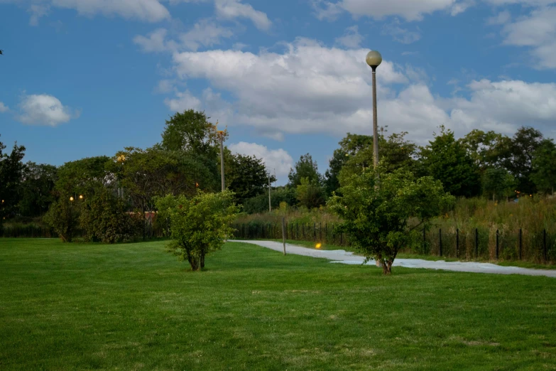 a park with trees and a street light