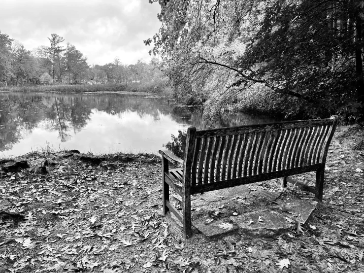 a bench sits near a lake with trees and leaves