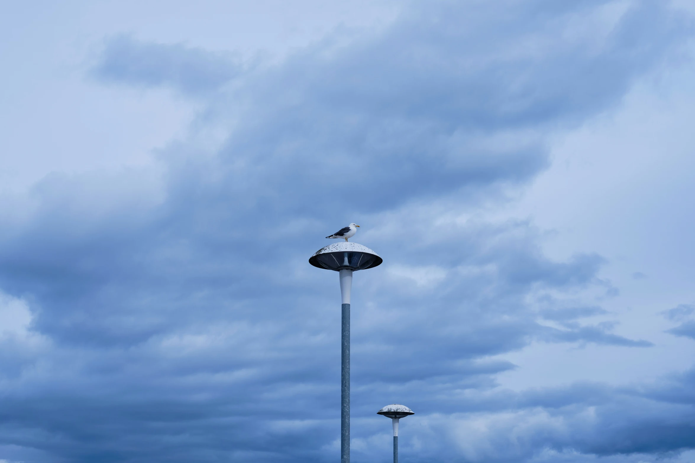 a very tall tower with a seagull sitting on top