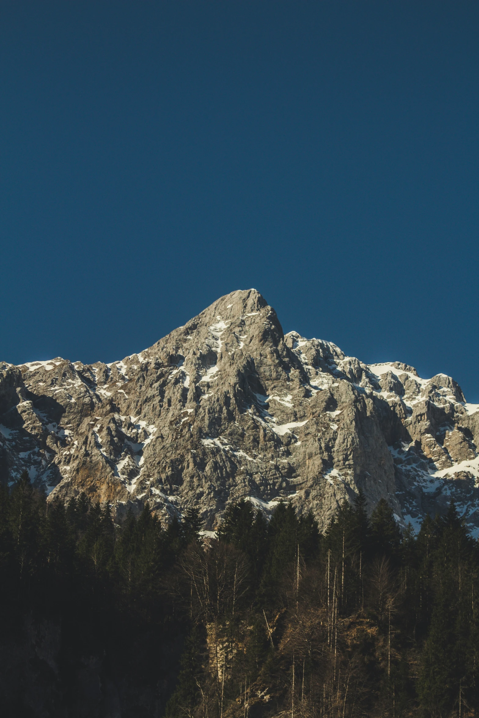 a large mountain covered in snow with trees underneath