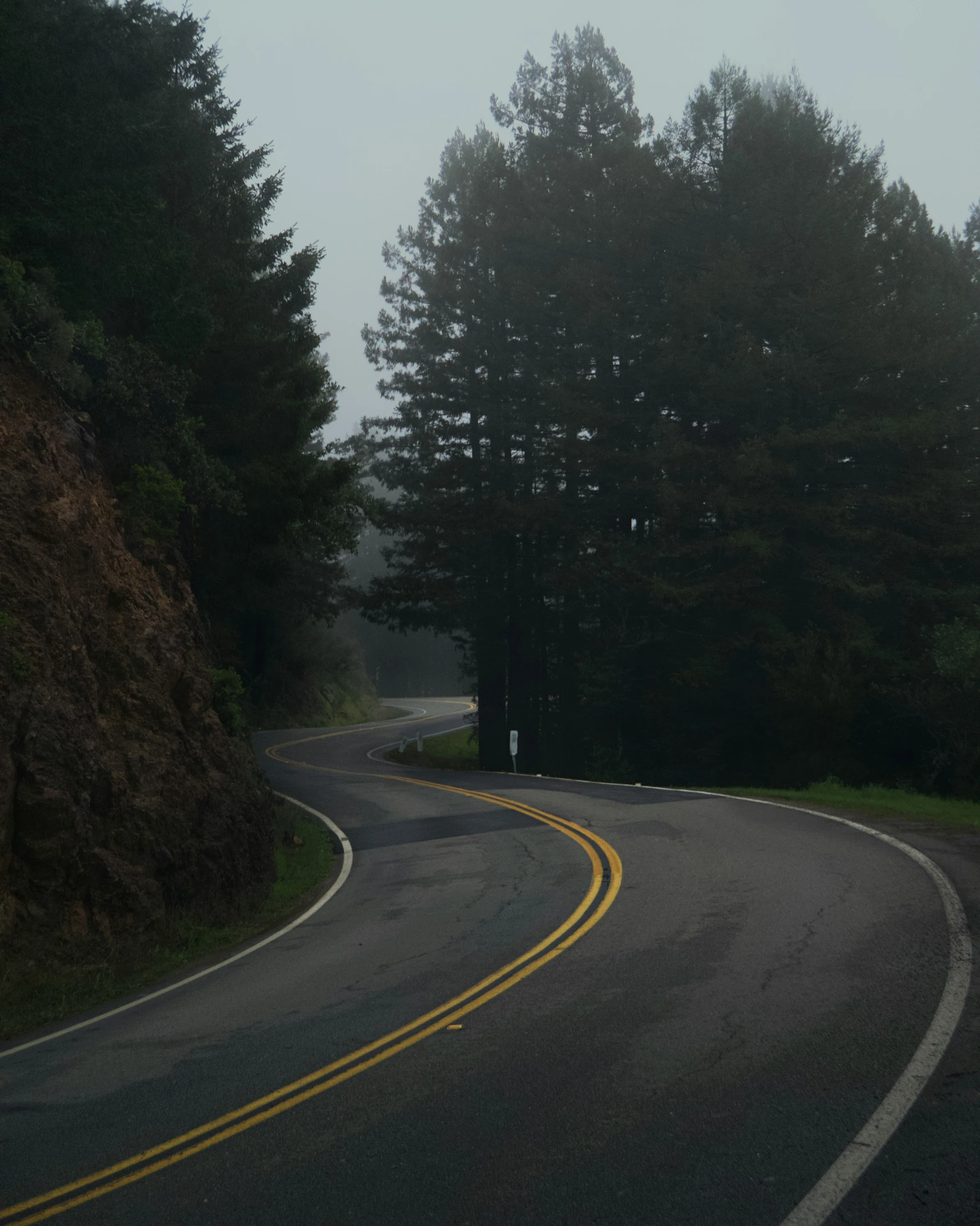 the curve of a road in the forest is empty