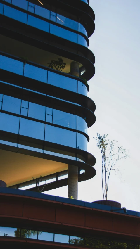 a building is against a blue sky and a large plant