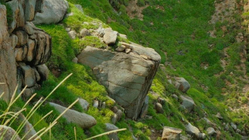 a grassy area is on top of the rocks