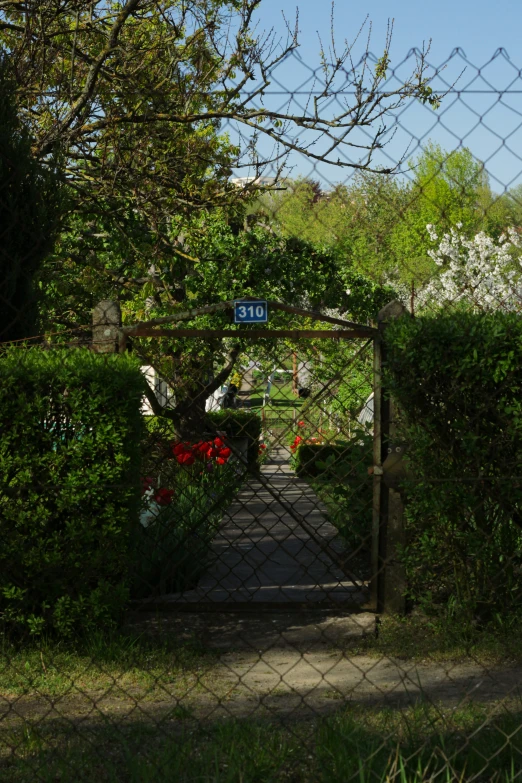 a gate surrounded by trees and plants