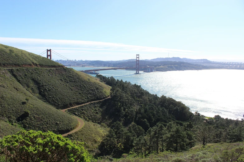 the golden gate bridge is surrounded by lush green trees