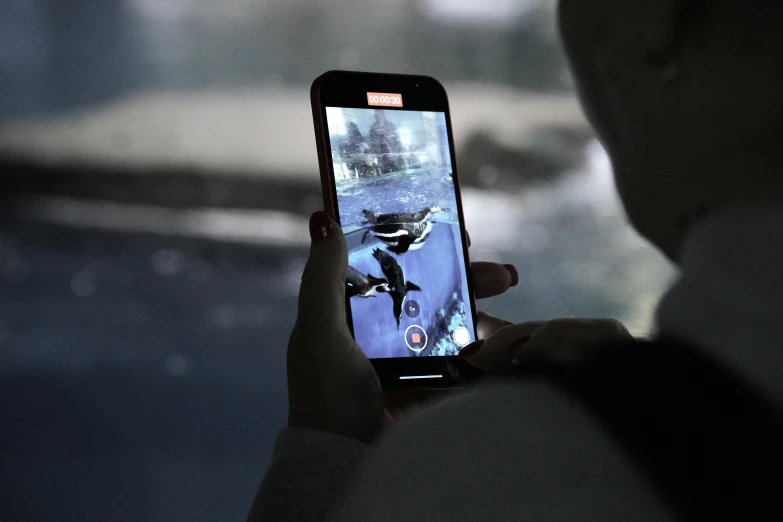 a person using a phone to record an outdoor scene