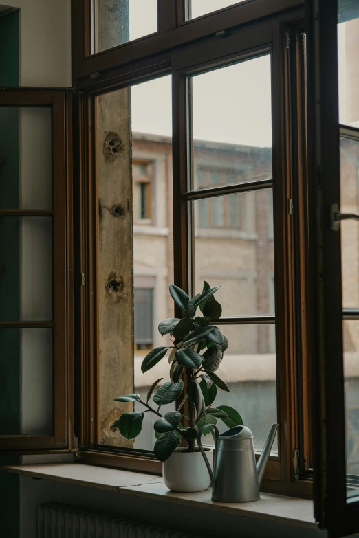 a window sill has a potted plant sitting next to it