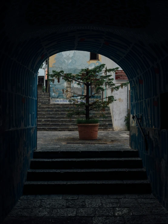 a black tunnel with steps leading up to a tree