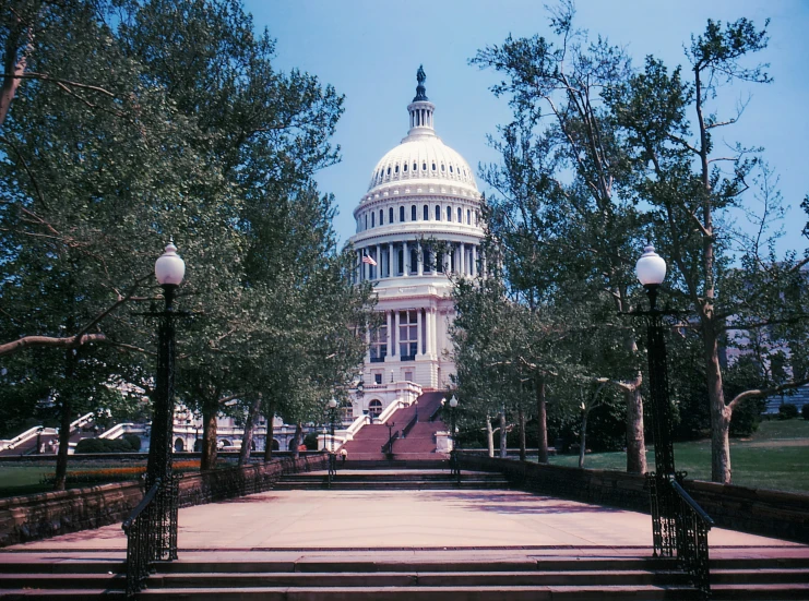 the washington dc capitol building surrounded by trees