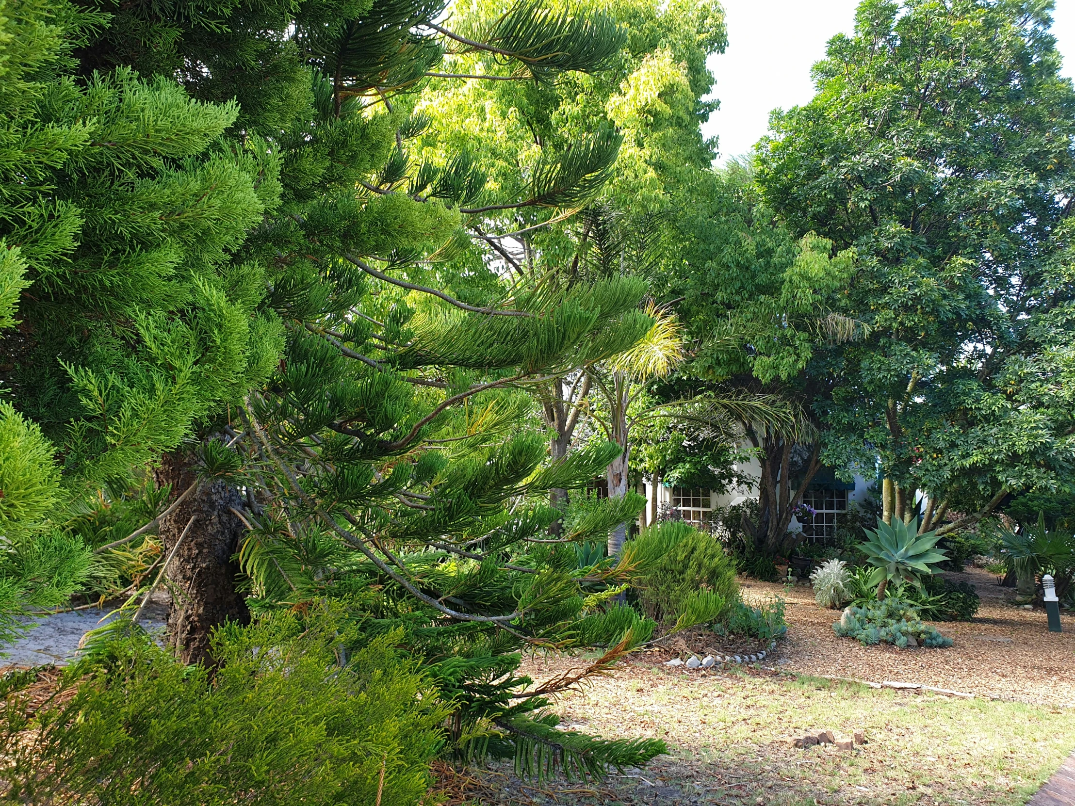 the road has a car on it in front of a house with many trees