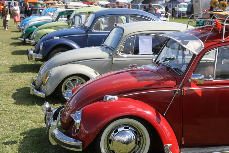 an assortment of vintage classic automobiles on display