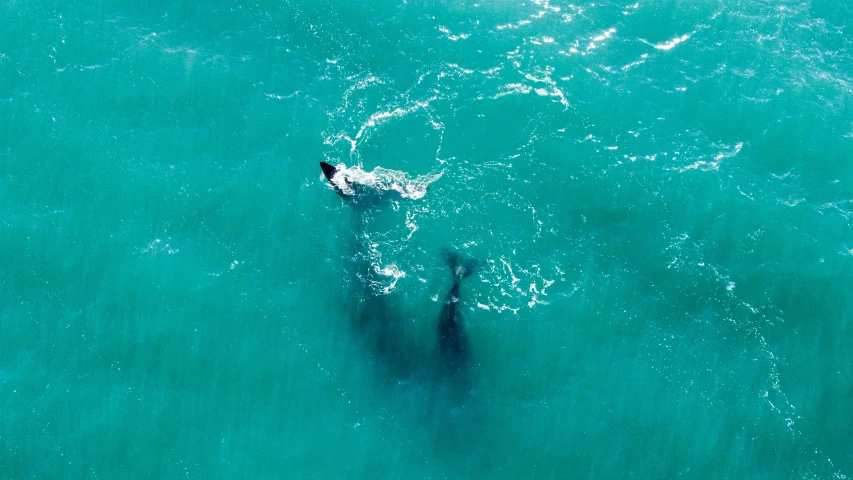 a man swimming in the ocean and getting a great view