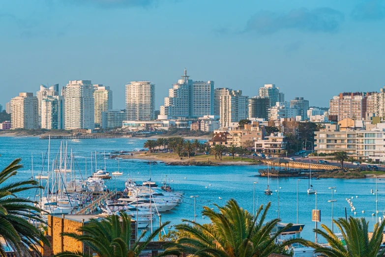 a marina is shown surrounded by tall buildings