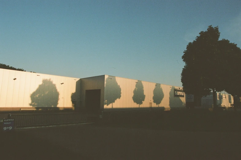 a shadow is shown on a building next to a tree