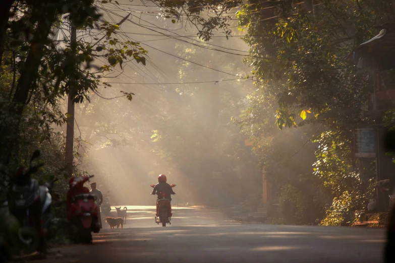 person on a motorbike with their dog passing by