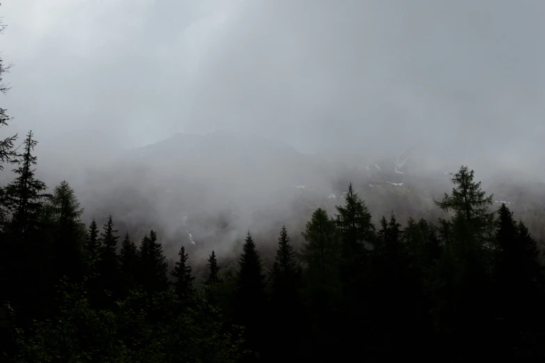 this is the fog covered mountain at the end of winter