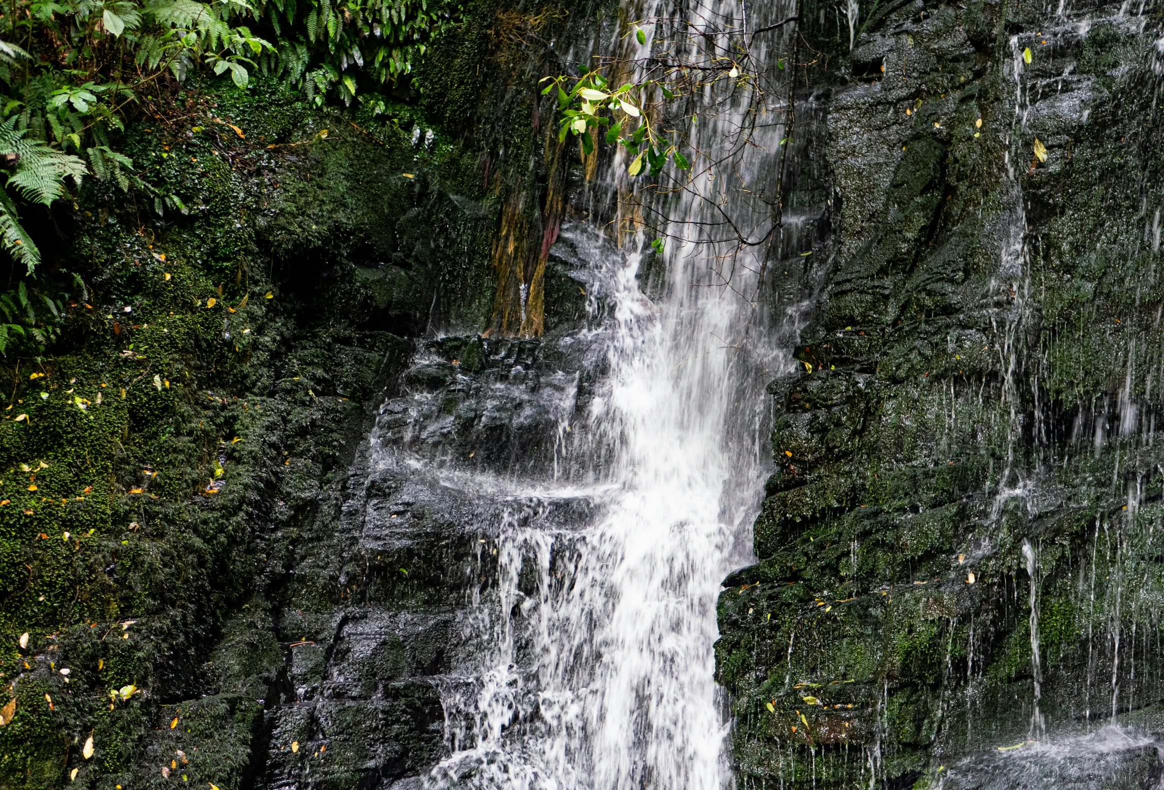 water pouring out of a large body of water