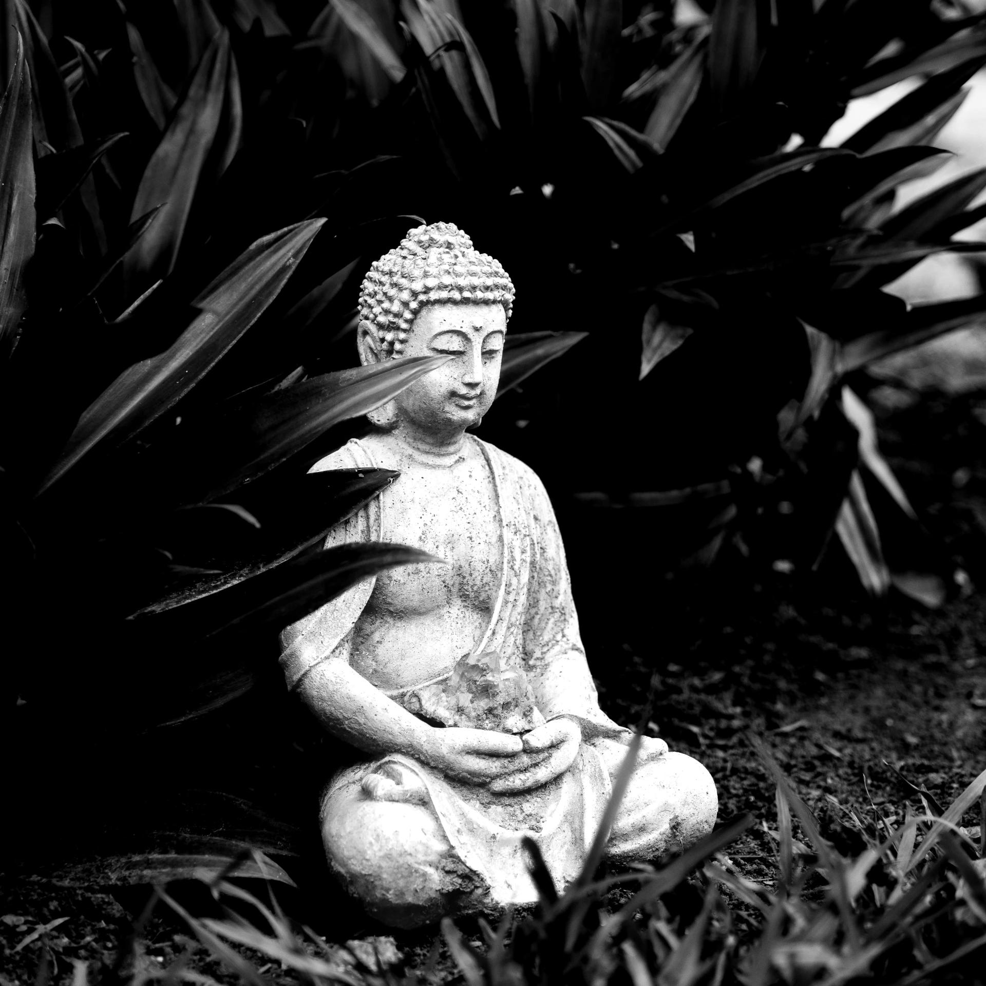 a buddha statue sitting outside next to some plants