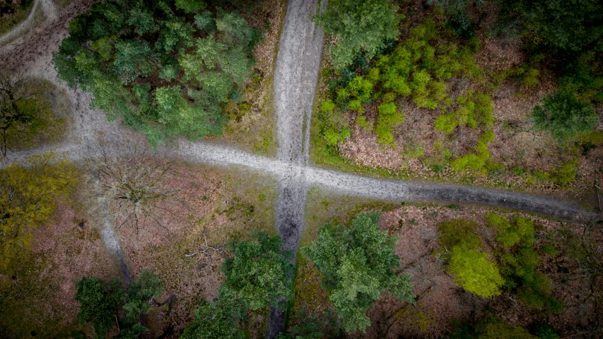 an overhead view of a road in the woods