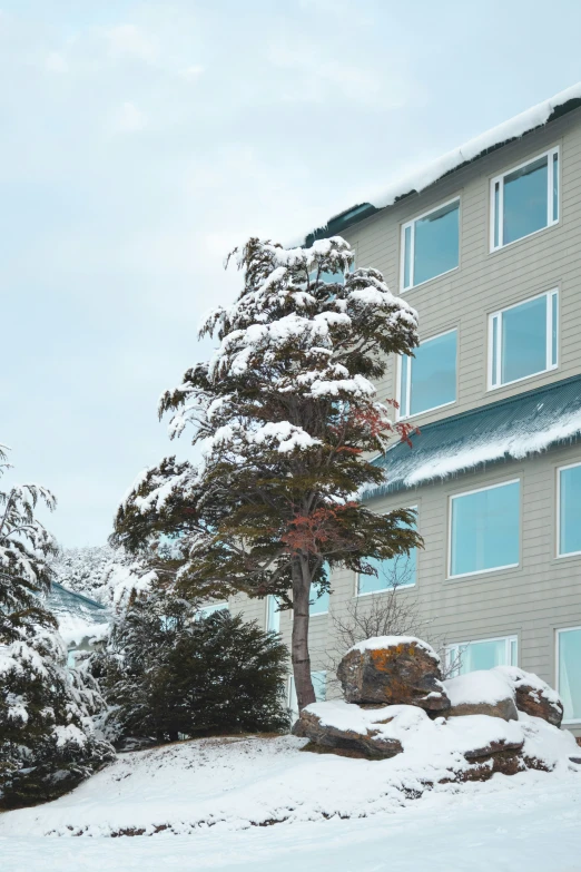 a tall brown building covered in snow next to a pine tree