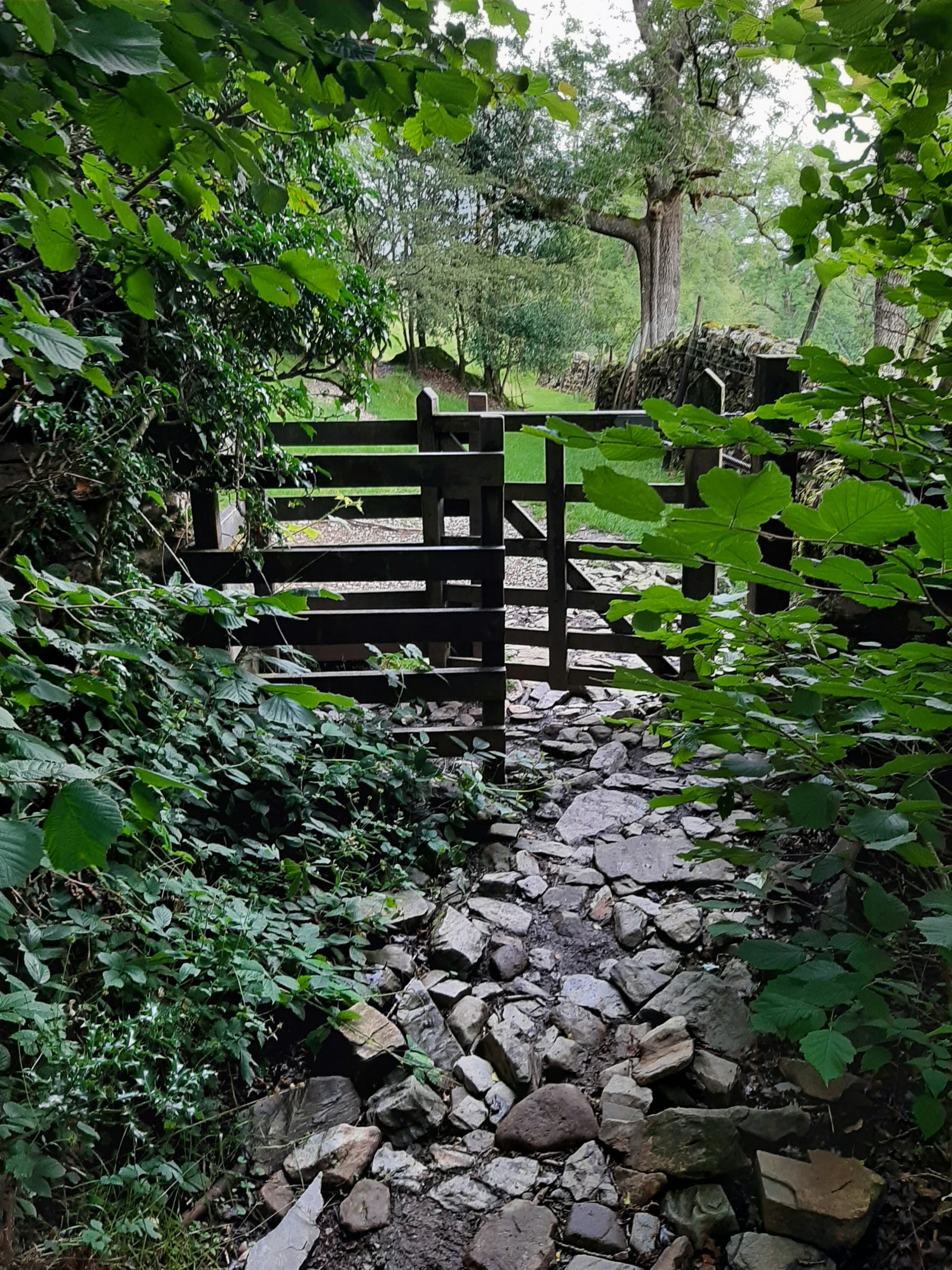 an open gate in the woods is surrounded by rocks