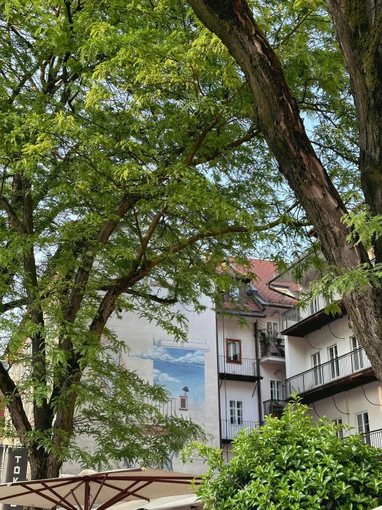 a park with a bench, trees and a building