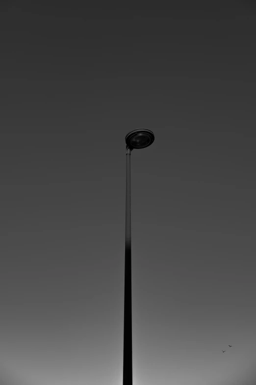 a black and white po of a tall street light pole
