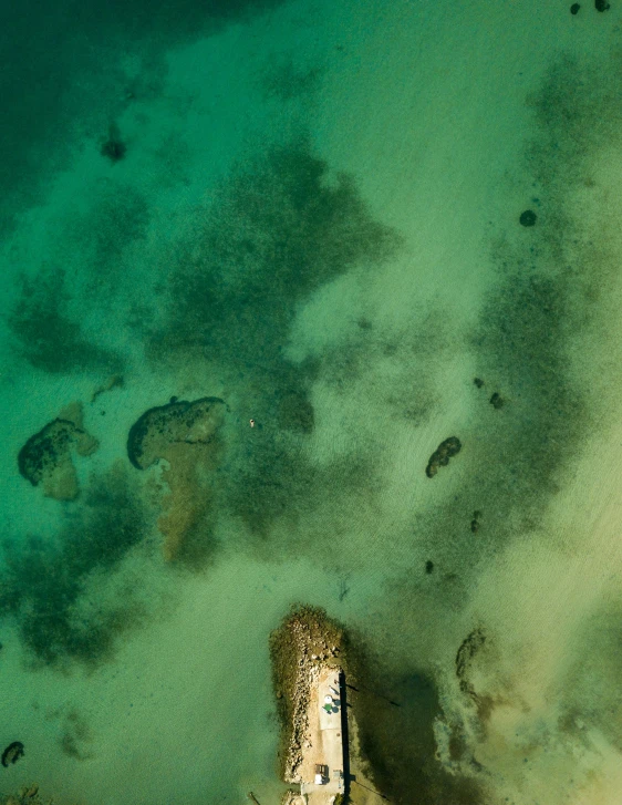 aerial view of the shoreline in the water