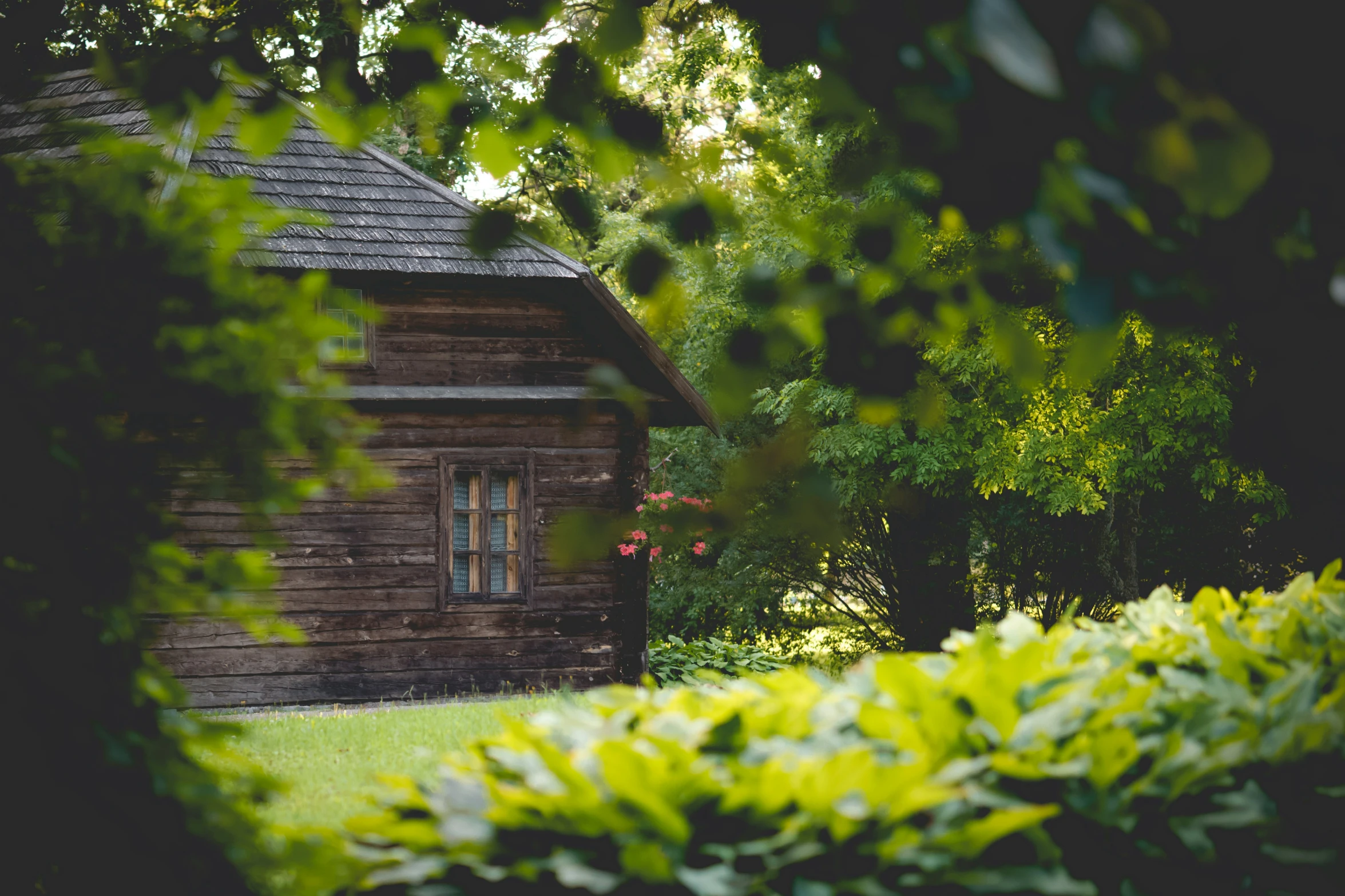 a log house sits between bushes and trees