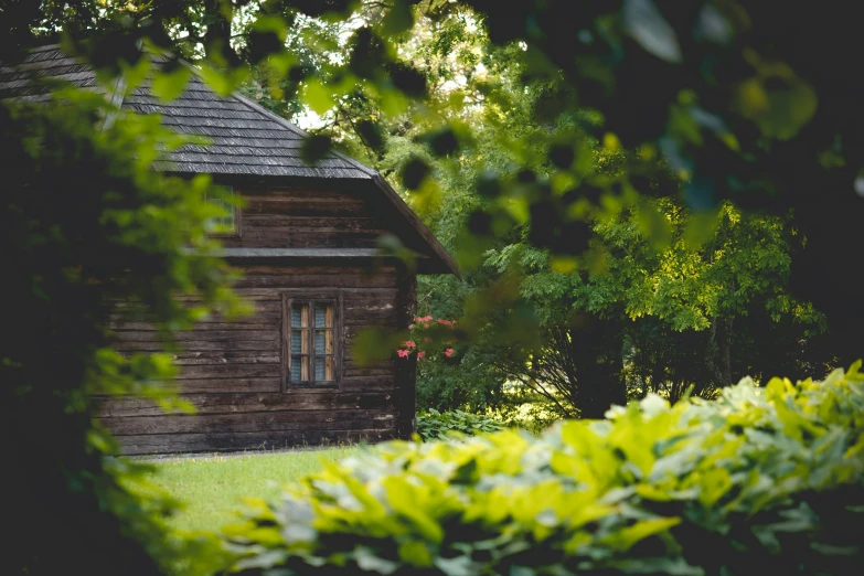 a log house sits between bushes and trees