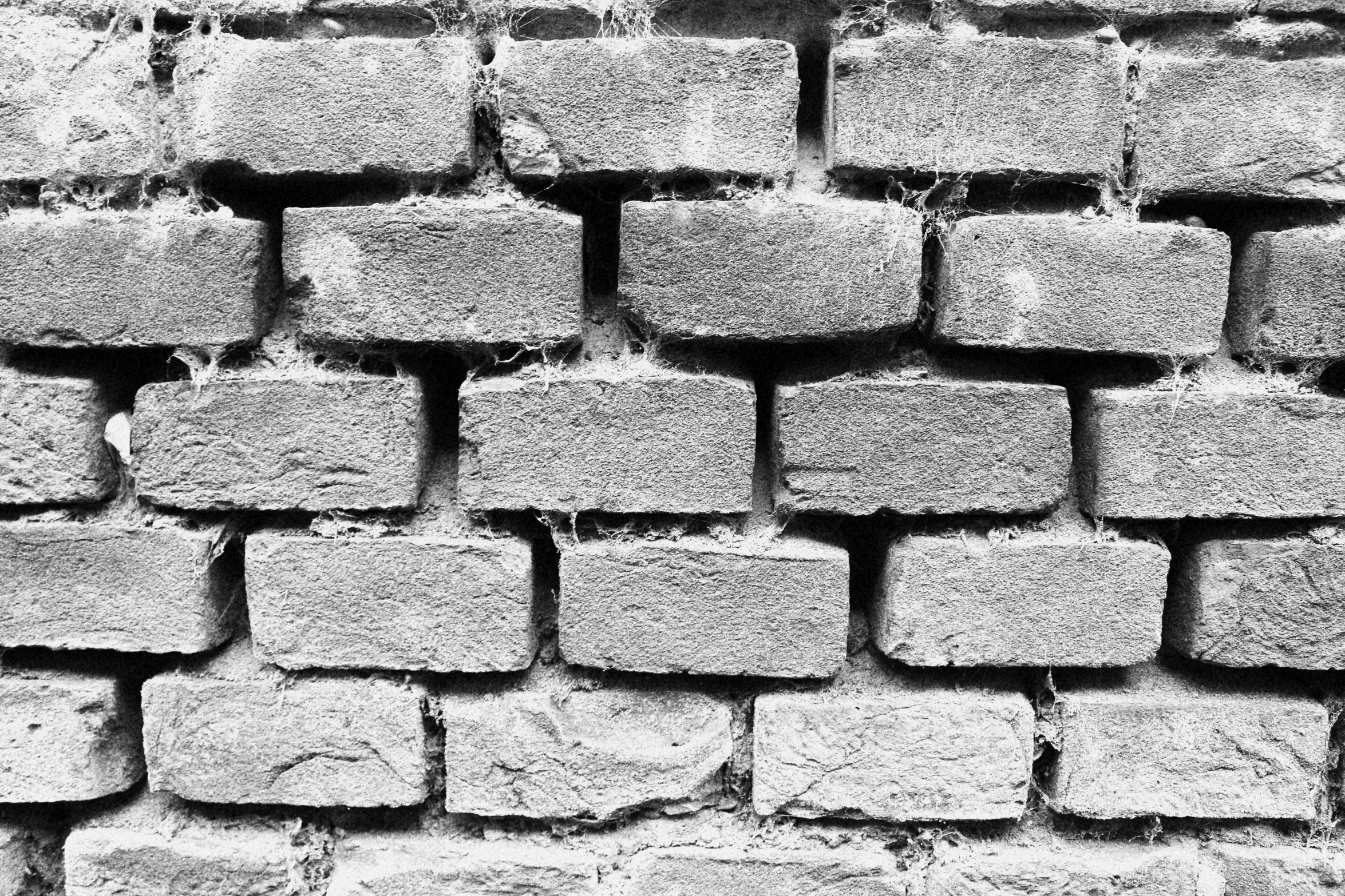 the black and white po shows the texture of bricks