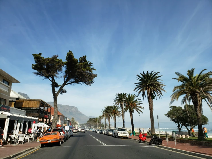 a view of some palm trees and cars on the street