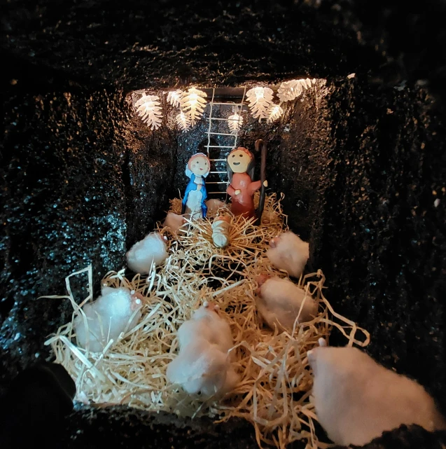 a fake nativity scene with the child in a mangeroom